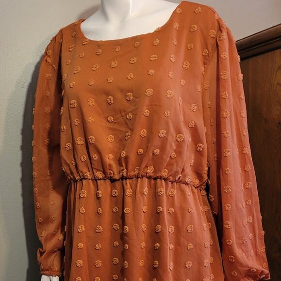 HANNA NIKOLE Terracotta Orange Maxi Dress 22W Plus Modest Boho Smocked Swiss Dot - Picture 3 of 10